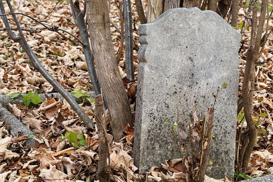 За 70 изуродованных надгробий на кладбище двоих приезжих во Владимирской области приговорили к колонии-поселению