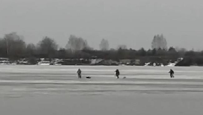 В Муроме рыбаки едва успели покинуть тронувшийся лед на Оке