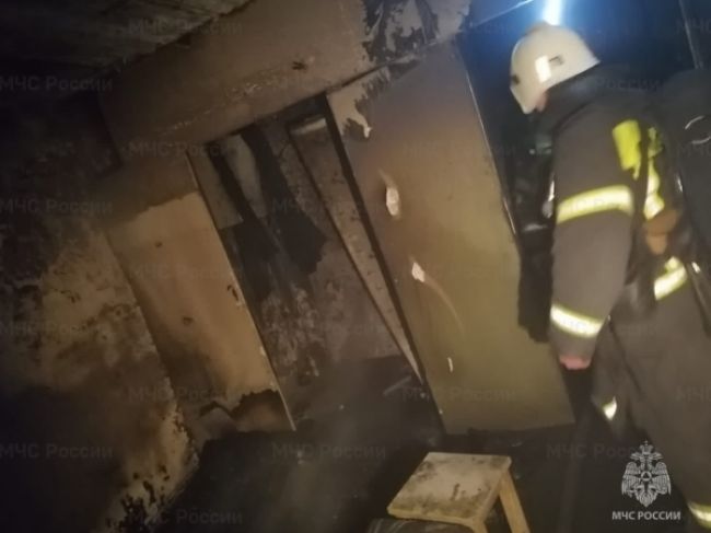 Во Владимирской области сотрудники МЧС эвакуировали 15 детей во время пожара в многоквартирном доме