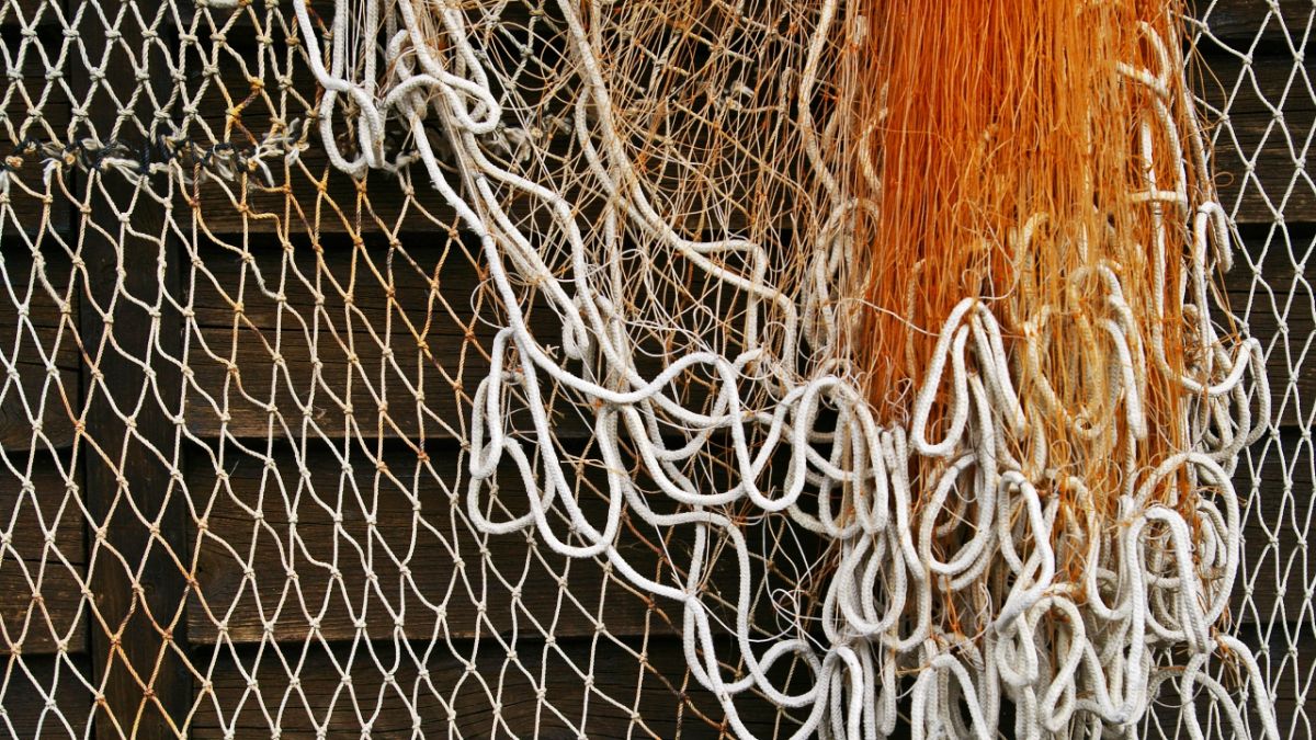 Рыбак из города Меленки получил условный срок за незаконную ловлю сетями