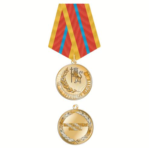 Жители Владимирской области удостоились региональных медалей и грамоты от президента