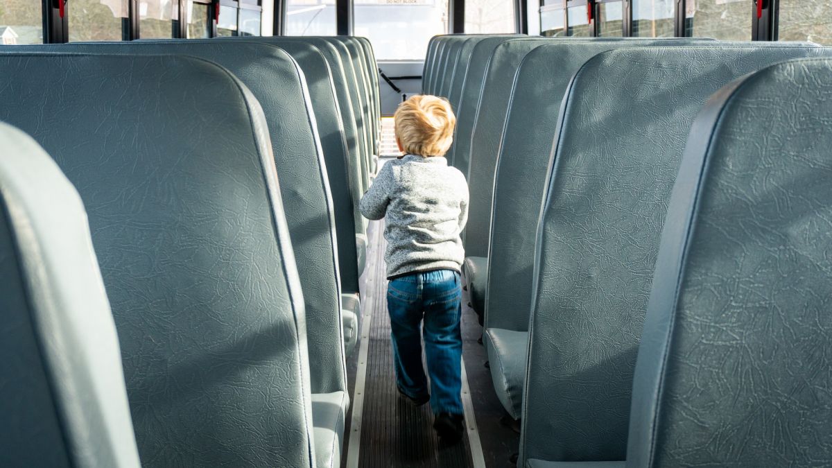 Владимирская область закупит школьные автобусы для 10 муниципалитетов