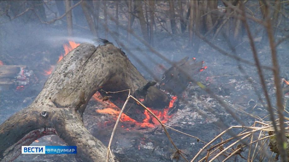 С 1 мая во Владимирской области вновь вводится особый противопожарный режим