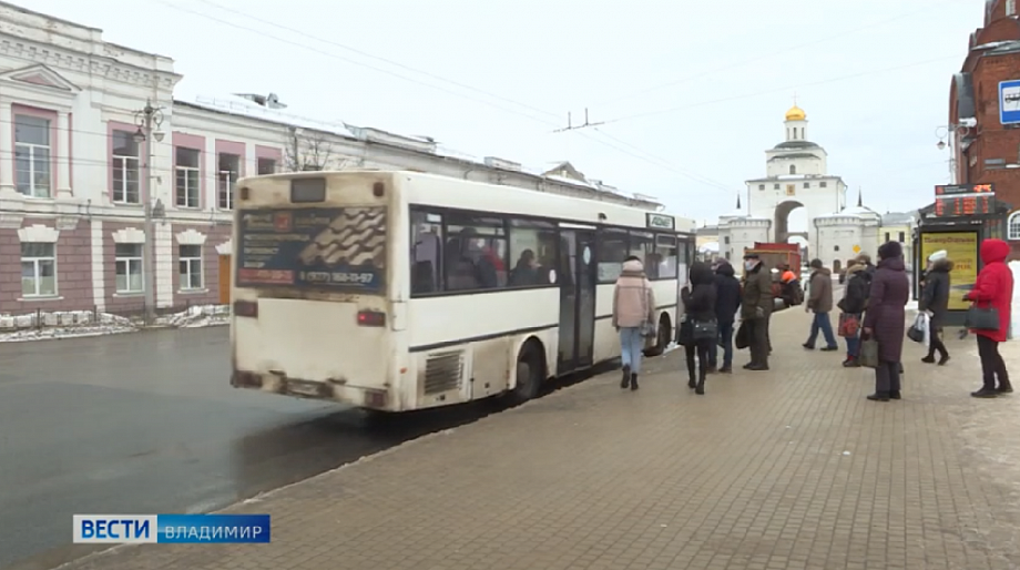 1 июня автобусы. Автобусы транспортной компании адм во Владимире.