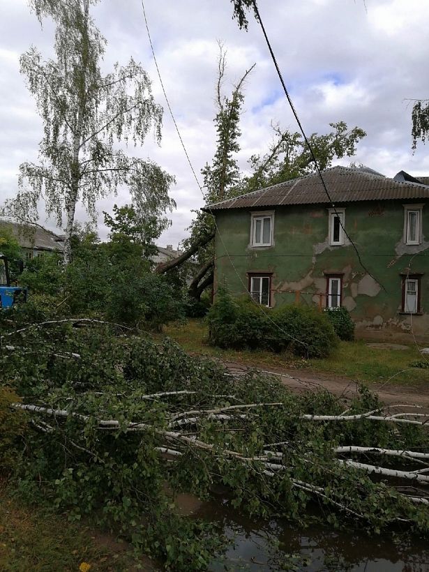 Ураган оставил без света 60 населенных пунктов Киржачского района и повалил на дорогу 17 деревьев