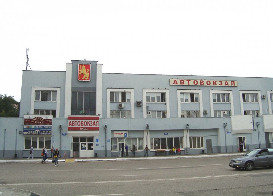 Владимирский автовокзал отсудил у мэрии более 200 тысяч рублей за упавшее на крышу дерево
