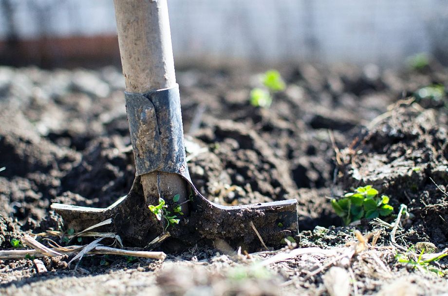 Жительницу Владимирской области оштрафовали на 2 миллиона за вред, причиненный почвам