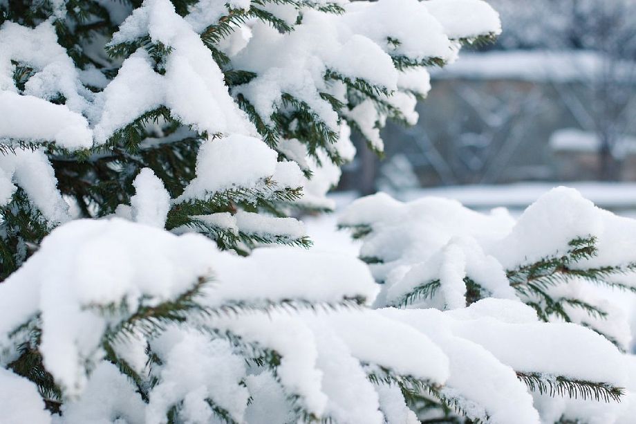 Сильный снегопад во Владимирской области будет идти еще сутки 
