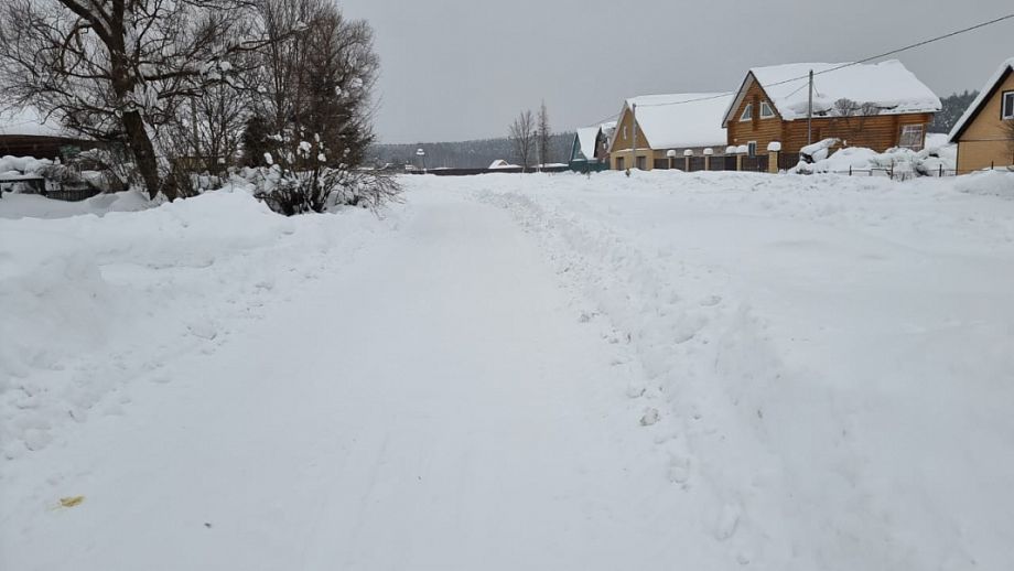 Жители деревни Борзино Владимирской области оказались в снежном плену