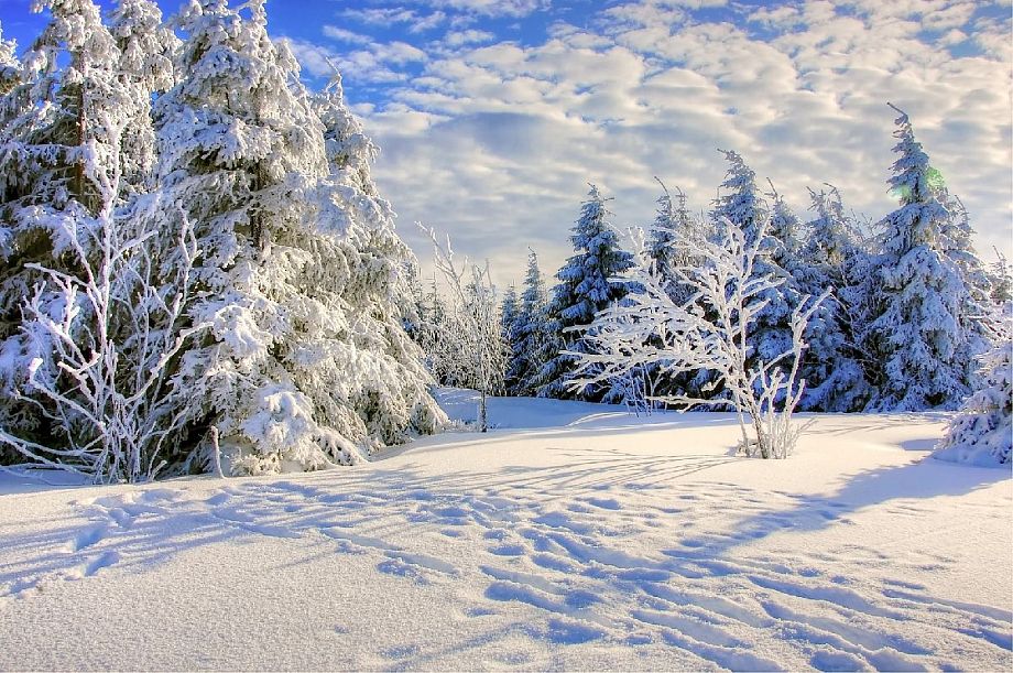 По прогнозам синоптиков, 2 февраля во Владимирской области будет тепло и снежно