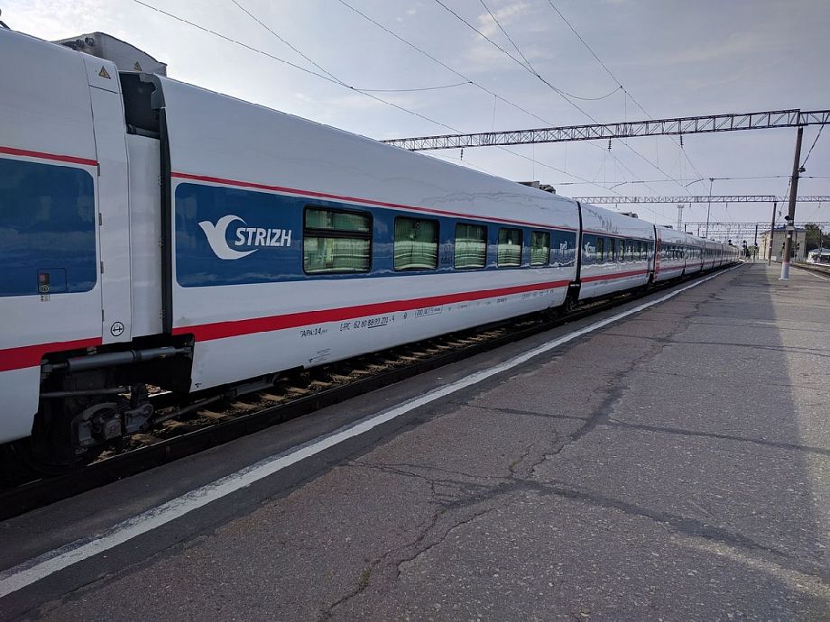 С 10 марта поезда "Стриж" не будут курсировать через Владимирскую область
