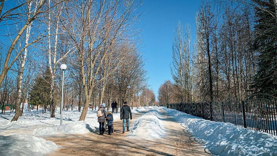17 марта во Владимирской области синоптики прогнозируют ясную погоду и температуру воздуха до 2 градусов тепла