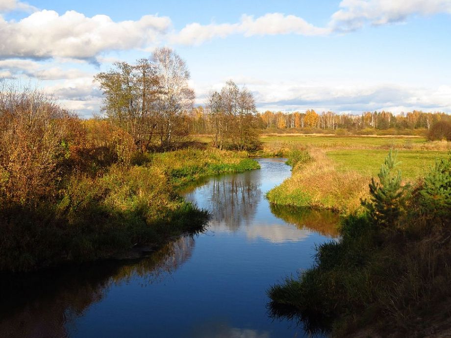 В Гусь-Хрустальном районе общественники добиваются очистки реки Колпь