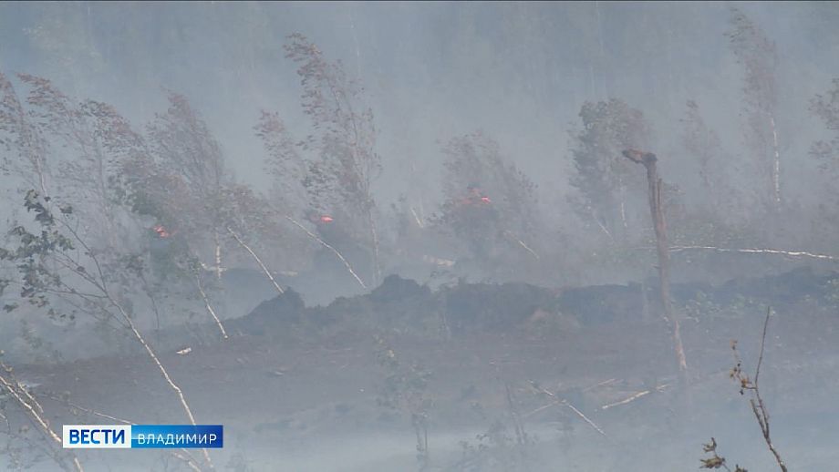 За сутки во Владимирской области потушено три лесных пожара