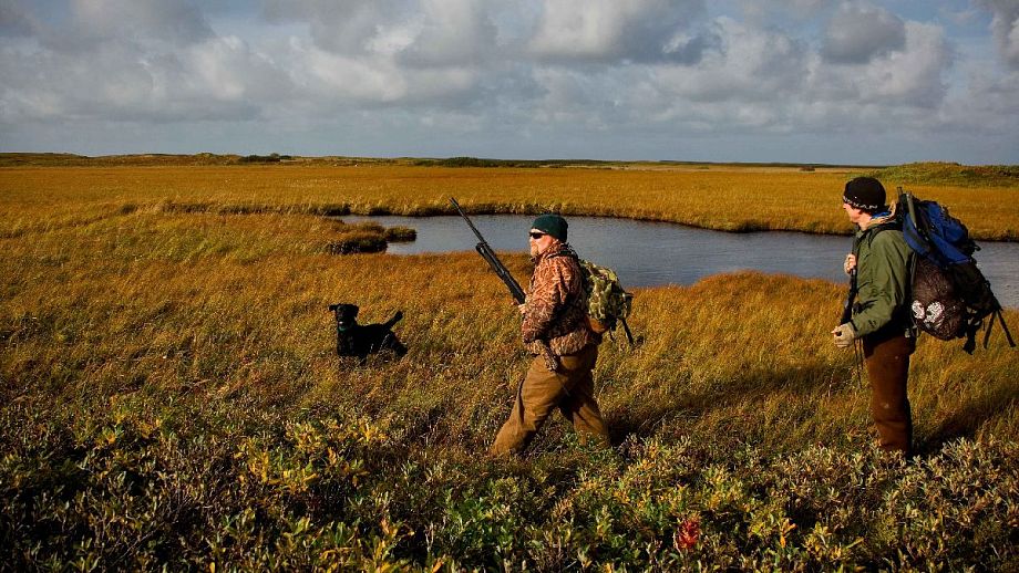 Владимирские охотники рассказали, почему при встрече с разъярённым лосем - холодное болото милее высокой ели