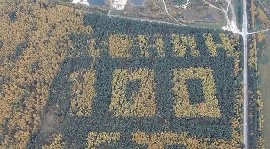 В осенних лесах Камешковского района вновь стало видно гигантскую надпись «Ленин 100 лет»
