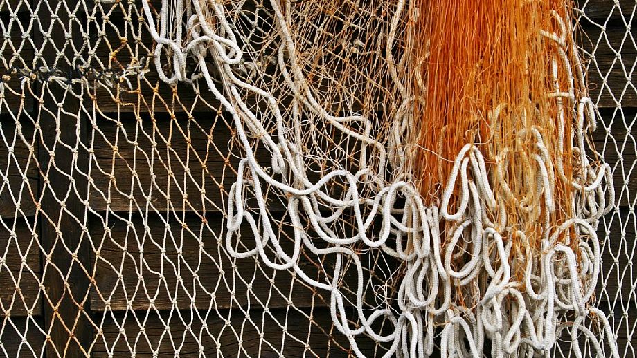 Рыбак из города Меленки получил условный срок за незаконную ловлю сетями