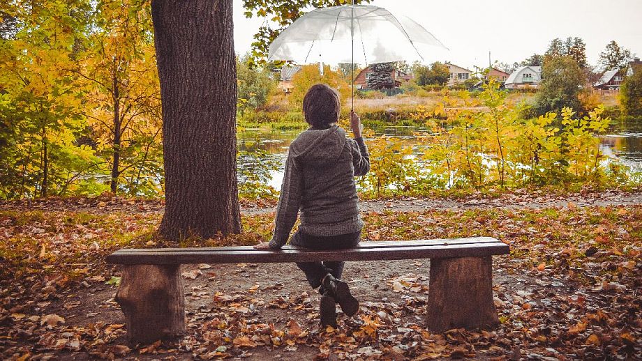 30-го октября во Владимирском регионе ожидается дождь