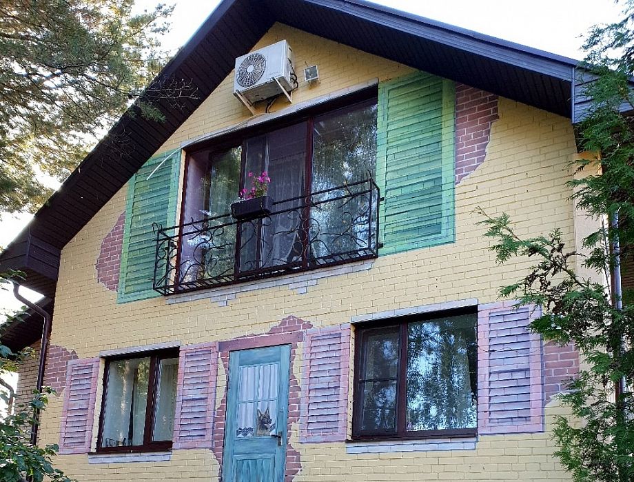 Художница из Владимира расписала 890 квадратных метров, преображая дома и пространства региона