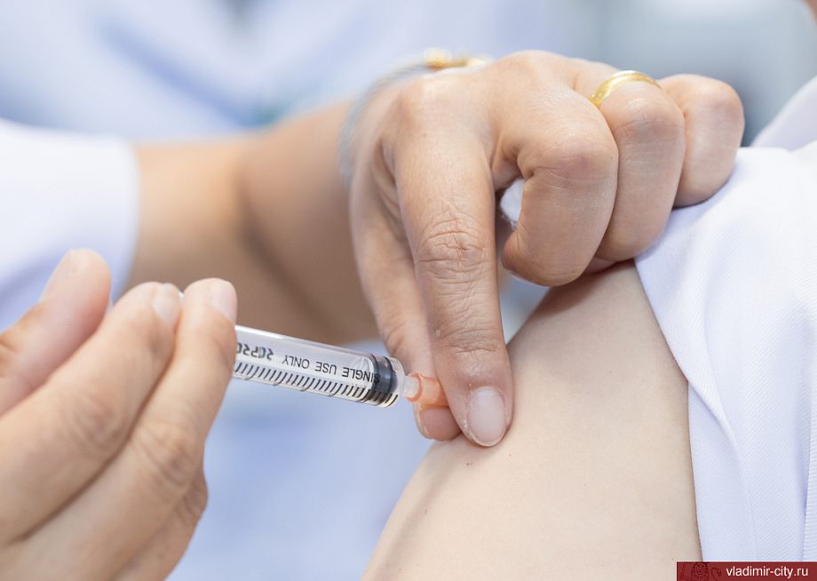 На предприятиях Владимира можно пройти вакцинацию от гриппа