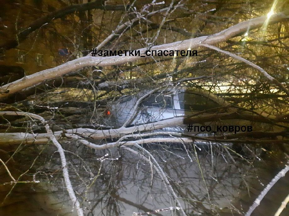 Во Владимирской области упавшее дерево серьезно повредило автомашину