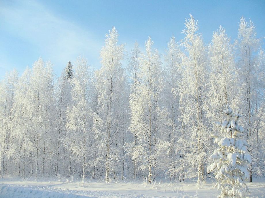 Во Владимирской области после небольшого потепления опять придут ночные температуры до -34 градусов мороза
