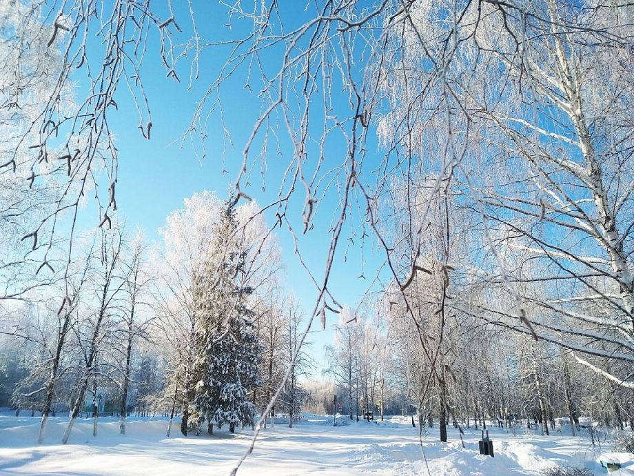 Во Владимирской области, по прогнозам синоптиков, 11 января будет не ниже 15 градусов мороза