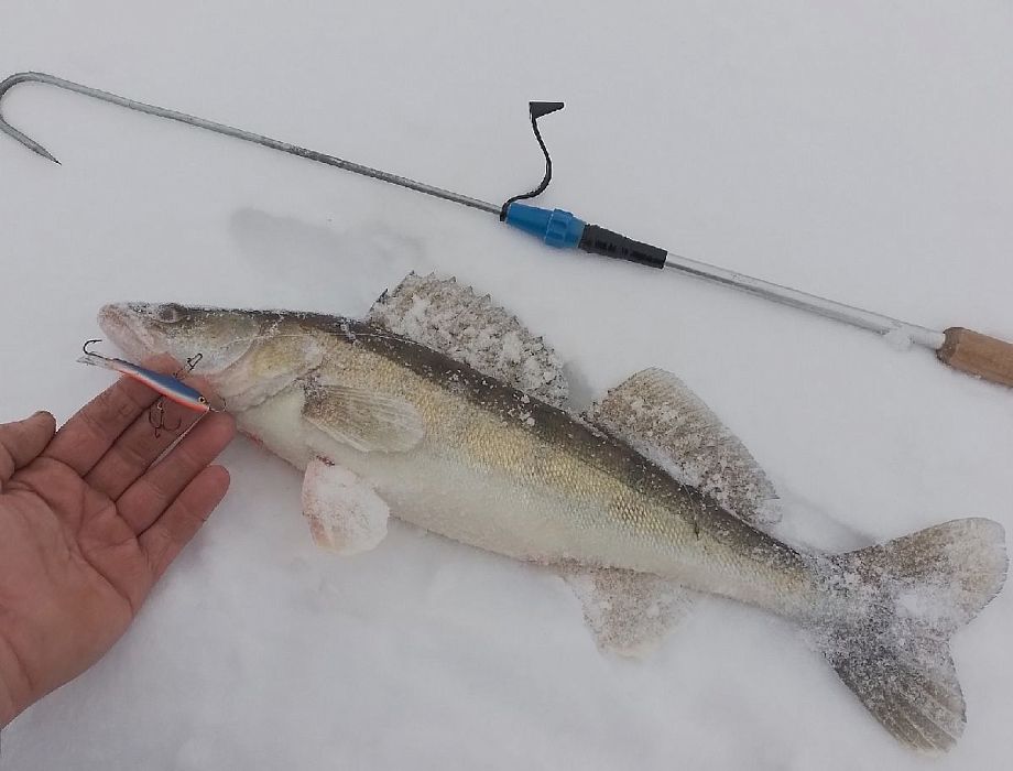 Зимняя рыбалка: жители Владимирской области показали трофеи и рассказали о любимых местах