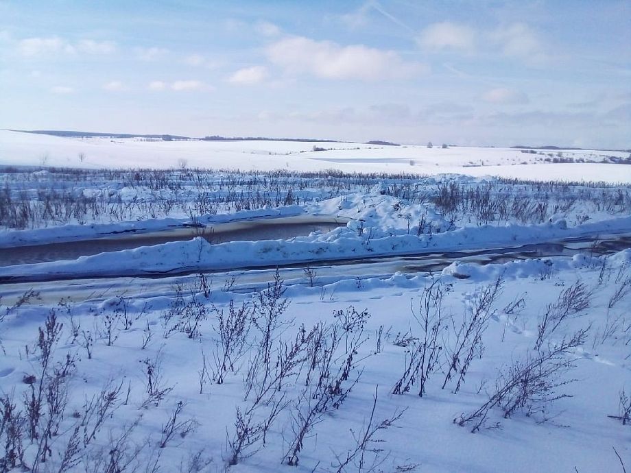 Во Владимирской области жители села Волосово Собинского района жалуются на слив отходов в реку Колочку