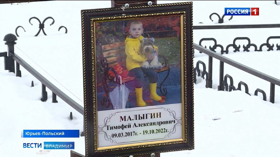 Александр Бастрыкин поручил передать уголовное дело о смерти 5-летнего Тимофея во владимирской больнице в Главное следственное управление СК России