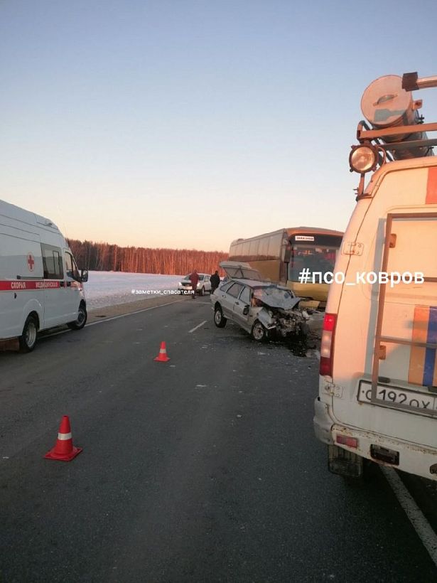 Спасатели во Владимирской области извлекли пострадавшего в ДТП с автобусом