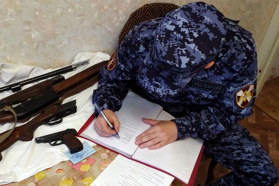 12 жителей Владимирской области добровольно сдали оружие и патроны