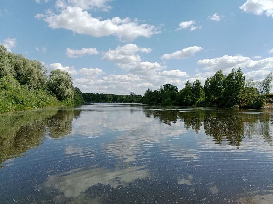 Масштабные работы по расчистке четырех рек начнутся во Владимирской области