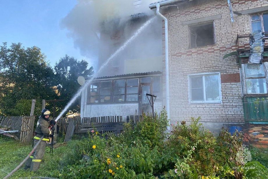 Во Владимирской области на пожаре погибла женщина