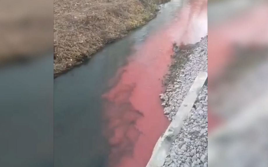 Администрация Владимира и прокуратура Владимирской области прокомментировали появление розовой жидкости в реке Рпень