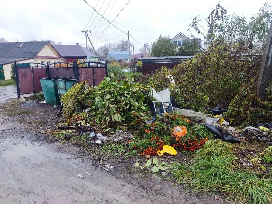 Прокуратура во Владимирской области добилась приведения в порядок мусорной площадки