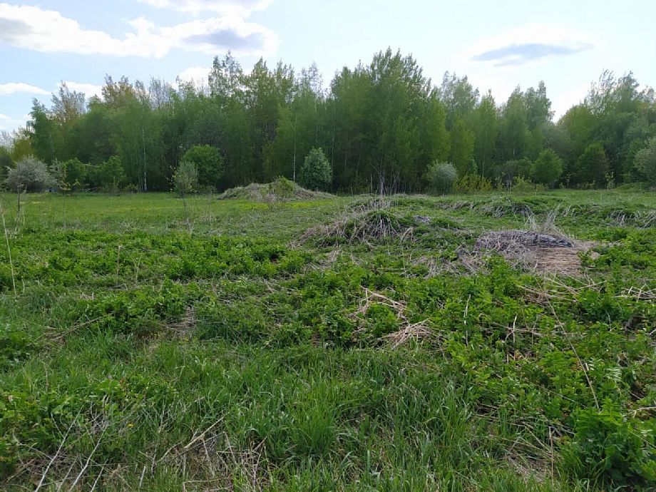 За восстановление заброшенных земель во Владимирской области вернут до 50% затрат