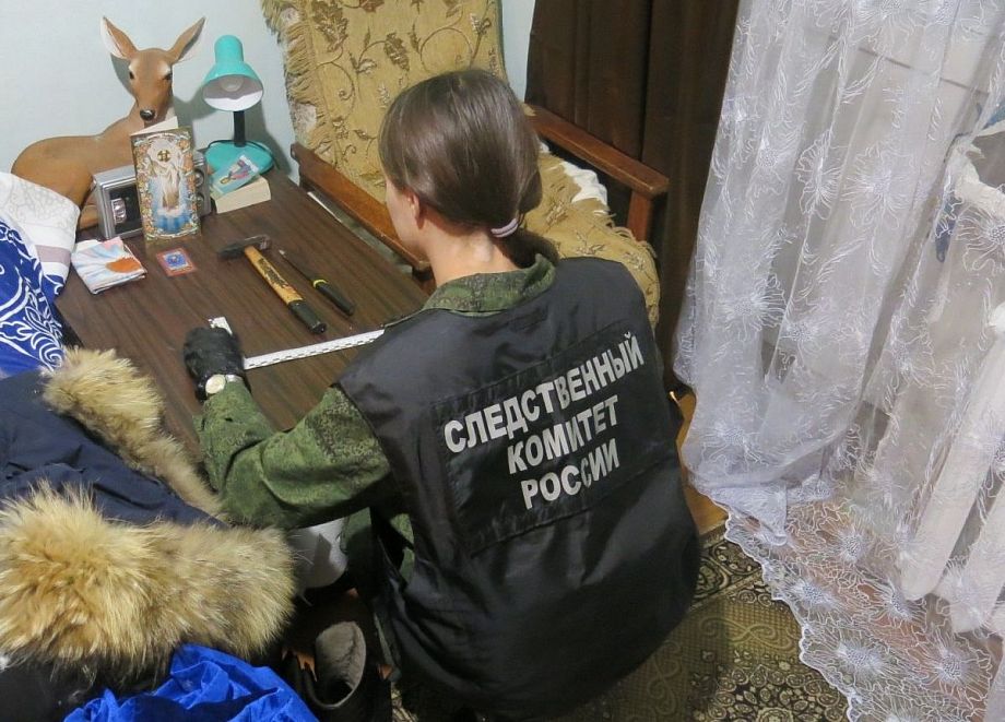 Жительницу Владимирской области, убившую свою мать, направят на принудительное лечение в психбольницу